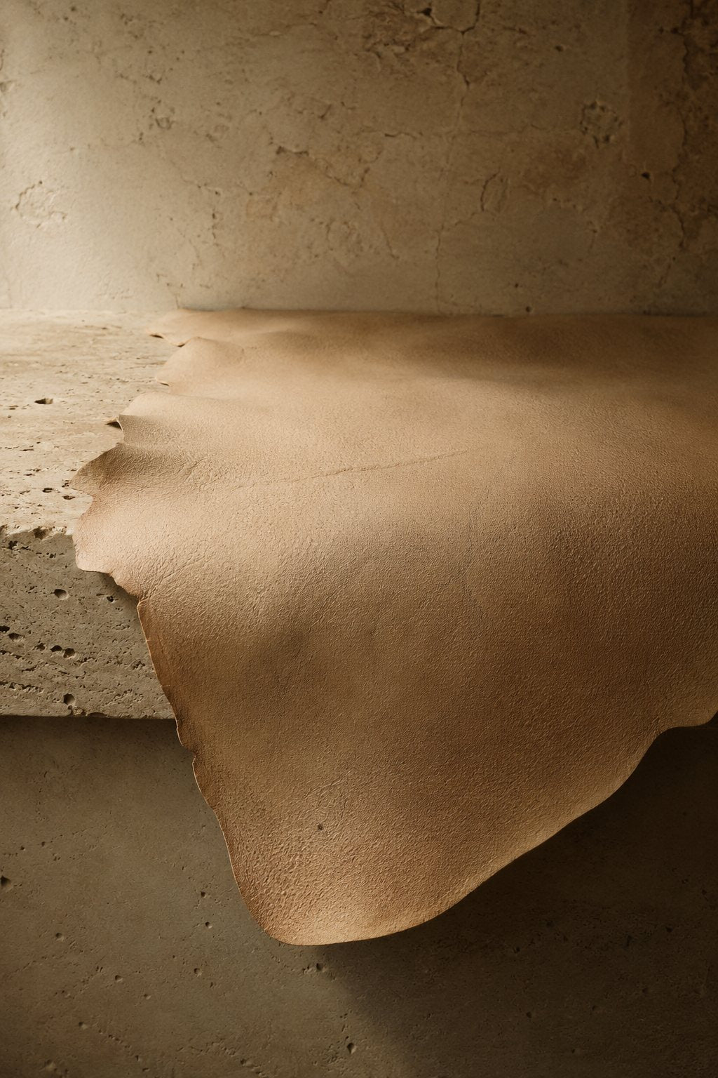An uncorrected natural hide, its marks left in